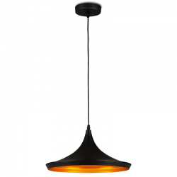 Industrialna lampa wisząca 1xE27 czarno złota LW.158 BK